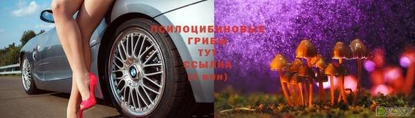 крисы Беломорск