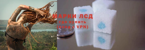 крисы Беломорск
