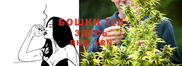 крисы Беломорск