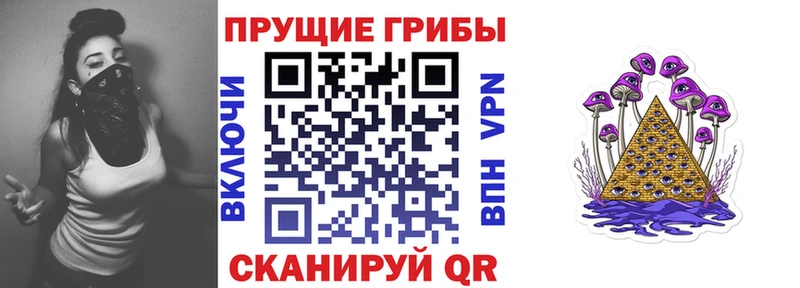 купить закладку  ОМГ ОМГ сайт  Псилоцибиновые грибы Psilocybe  Кумертау 
